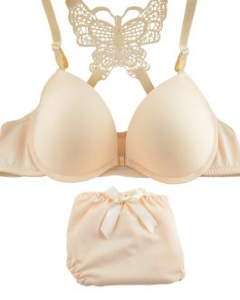 Butterfly Lace Elegant Bra Pantie Set