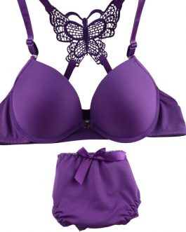 Butterfly Lace Elegant Bra Pantie Set